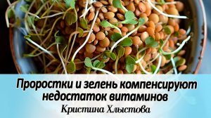 🌱Проростки и зелень могут полностью скомпенсировать недостаток витаминов | Кристина Хлыстова