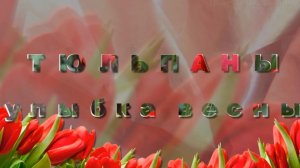 7 марта день тюльпанов. Тюльпаны - улыбка весны