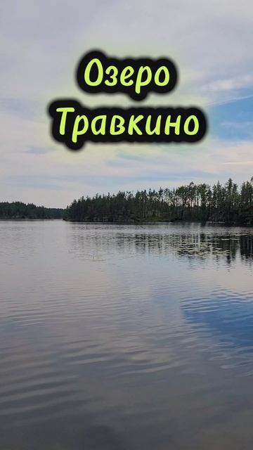 Карельский перешеек 2025. Озеро Травкино. Июль 2025г (Часть 1)