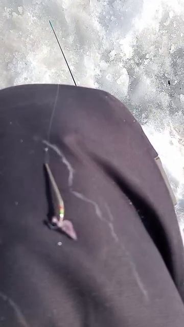 Ловил навагу на блесну Техас (немецкое серебро и зеленка) от Mr. Musurok