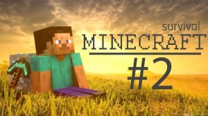 ВЫЖИВАЕМ В МАЙНЕ