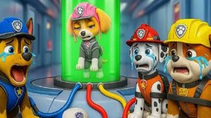 ЩЕНЯЧИЙ ПАТРУЛЬ 1 СЕЗОН 4 СЕРИЯ ГИПЕРВСТРЯСКА