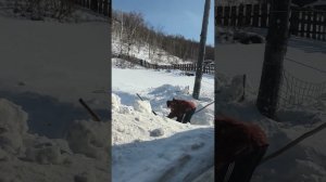 Без дела не.. #зима