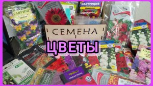 Семена цветов 🌺🌻🌼