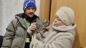 Едем в город // выбираем ЛИНОЛЕУМ // Дима собирает машины из Лего //