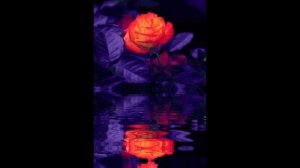 KIZARU - Жизнь Летит ( s l o w e d + r e v e r b )