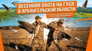 Весенняя охота на гуся в Архангельской области