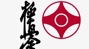 Ката каратэ Кёкусинкай часть 2