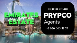 AI GOLD RADIO - 1 DOM RF "PRYPCO"