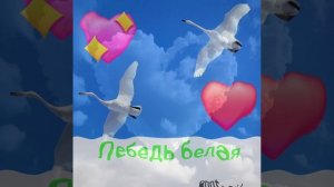 Лебедь белая Игорь Кибирев