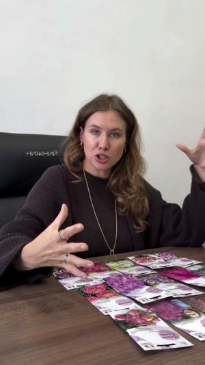 Розовый сад из однолетников своими руками