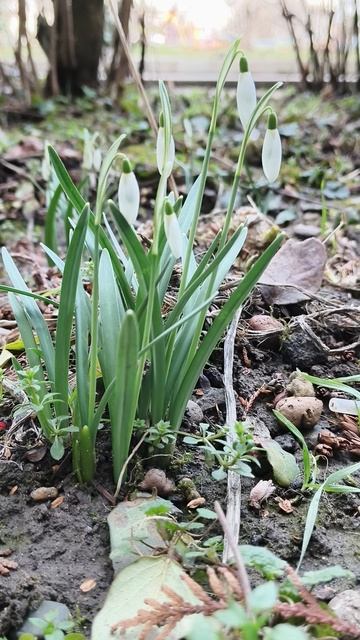 25.02.2026 #сегоднятак #природа #прырода #табиғ #自然 #natureza #natura #자연 #طبيعة #प्रकृति #nature