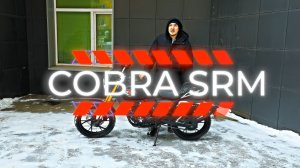 Мотоцикл COBRA. Краткий обзор.