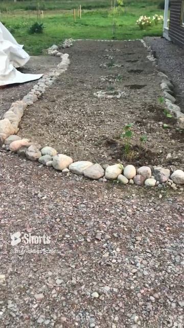 Ленобласть. Хвойное. 23.08.2024. Дача. Клумба для цветов с бордюром из природного камня