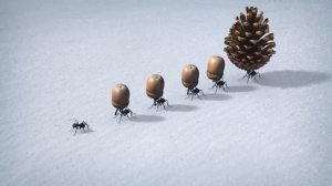 Снежно-морковный Минускул