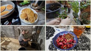 Из-за чего была шумиха ч.2. Готовьтесь такие цены на семена ещё не предел. Хвалю мужа