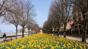 Весна в городе