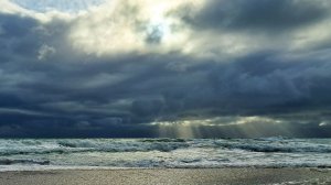 Анапа 25 февраля 2026 | Шторм | "Ветром стать"