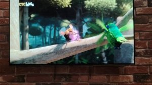 Отряд джунглей спешит на помощь 3 сезон: Гилберт неотразимый