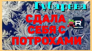 Губарева _Сдала себя с потрохами _Обзор _Наталья Губарева _Алиса Неземная _Одна в деревне _
