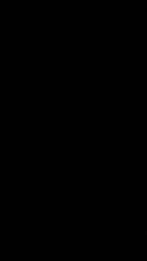 экскурсия по  котам воителям