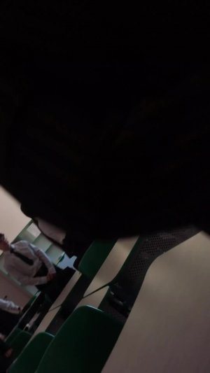 Урок обж далее обсир моей ок
Ждите