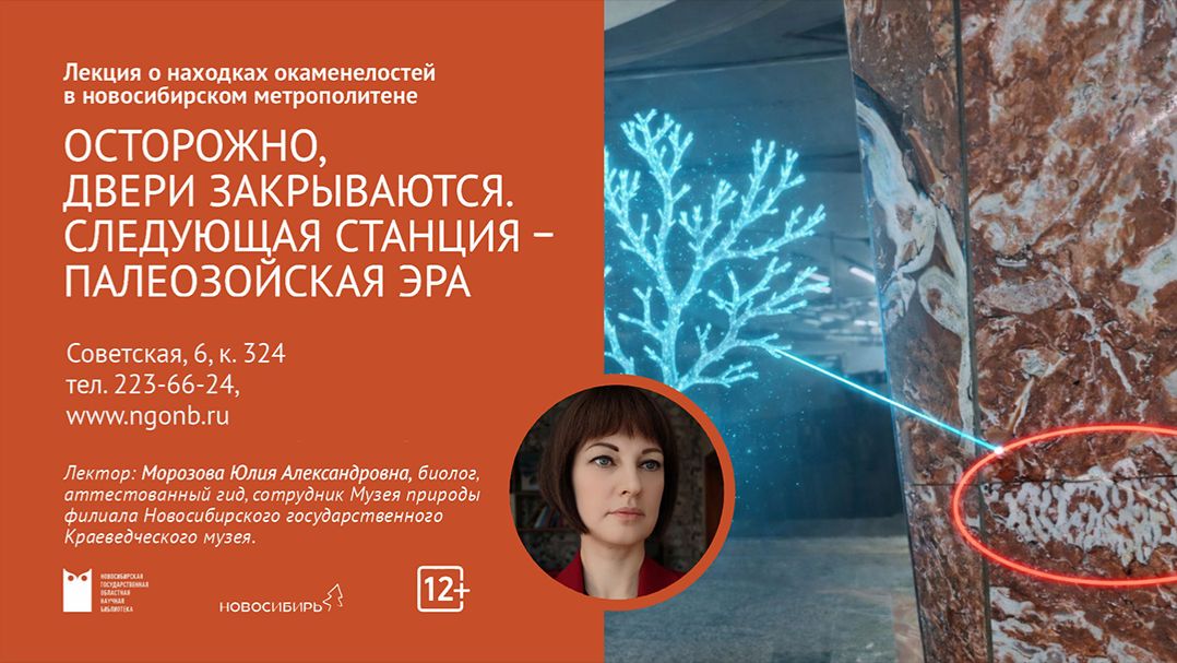 Лекция о находках окаменелостей в новосибирском метрополитене