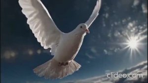 Paul Polotsk - Несказанное, синее, нежное... - (С. Есенин)