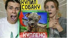 Сергей онис смотреть онлайн