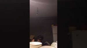 АЛЛАГЬ Велик ❤️