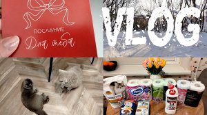 🏡VLOG💗Покупки💘👨💼Позднее поздравление с Днём Влюблённых💪🐱Люся Геракл