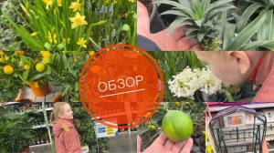 #ВЛОГ ОБЗОР С ЛЕМАНО ПРО🔥 МНОГО КРАСОТЫ 🔥🔥 КУПИЛА ПАРНИК-МЕЧТА МОЯ😍😍