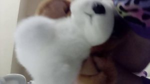 Аф аф ето мой игрушечный пёс!