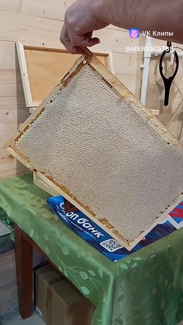 Первый мёд с нашей пасеки (видео из архива от 11 августа 2025 года). смотреть онлайн