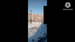 сиреноголовый во дворе с длинной. шеей.