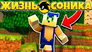 ЖИЗНЬ СОНИКА #1 ПЕРВЫЕ ИСПЫТАНИЯ