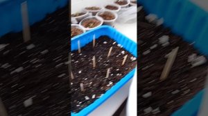 25-02-2026 пост знакомство