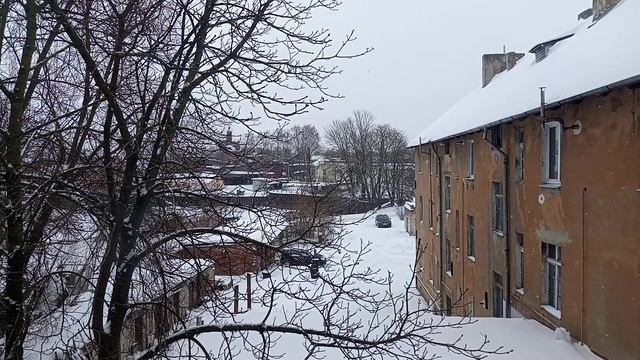 Зимний двор. Тихий снегопад и голуби.  Зимняя атмосфера для сна и работы. Тильзит.