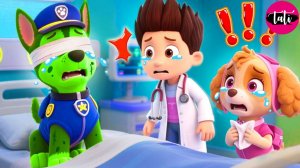 Щенячий патруль и Маршалл. Залипательное видео. Мультфильм для детей и малышей. Анимация 299