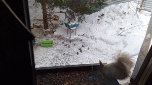 вечером потеплело