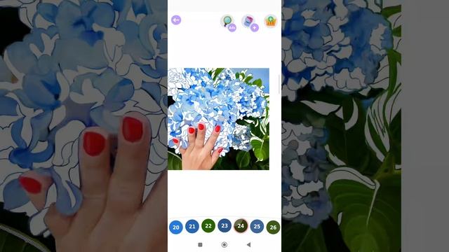 Красивые цветы