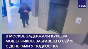 В Москве задержали курьера мошенников, забравшего сейф с деньгами у подростка