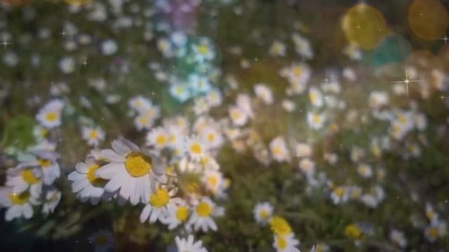 А где мне взять такую песню