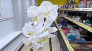 💛 ЧИЖИК 💛  НОВИНКИ НЕДЕЛИ 🔥 Для дома и к 8 марта 🤩 Смотрим первыми новинки магазина Чижик ✅