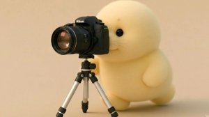 Тюлень  📸 устроил собственную фотостудию 🦭✨