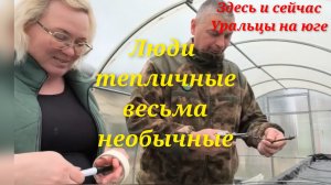 Началось!Наш виноград -наше детище!