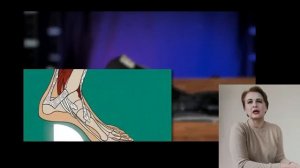 связь таза со стопами