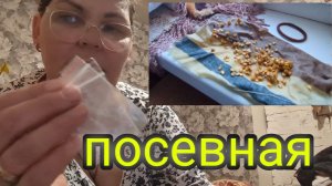 Жизнь в деревне.Посевная в разгаре.