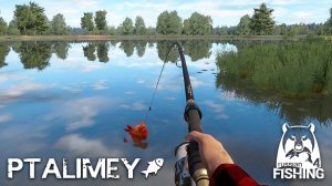 Какой же сегодня улов нас ждет!? 🐟Русская рыбалка 4🐬Russian Fishing 4