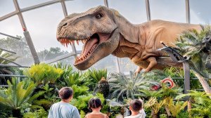 Новый МИР ЮРСКОГО ПЕРИОДА впечатления от посещения Сингапура! Пешеходная экскурсия Сады у залива.